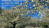 Citas deportivas Primavera y Cerezo en Flor 2015